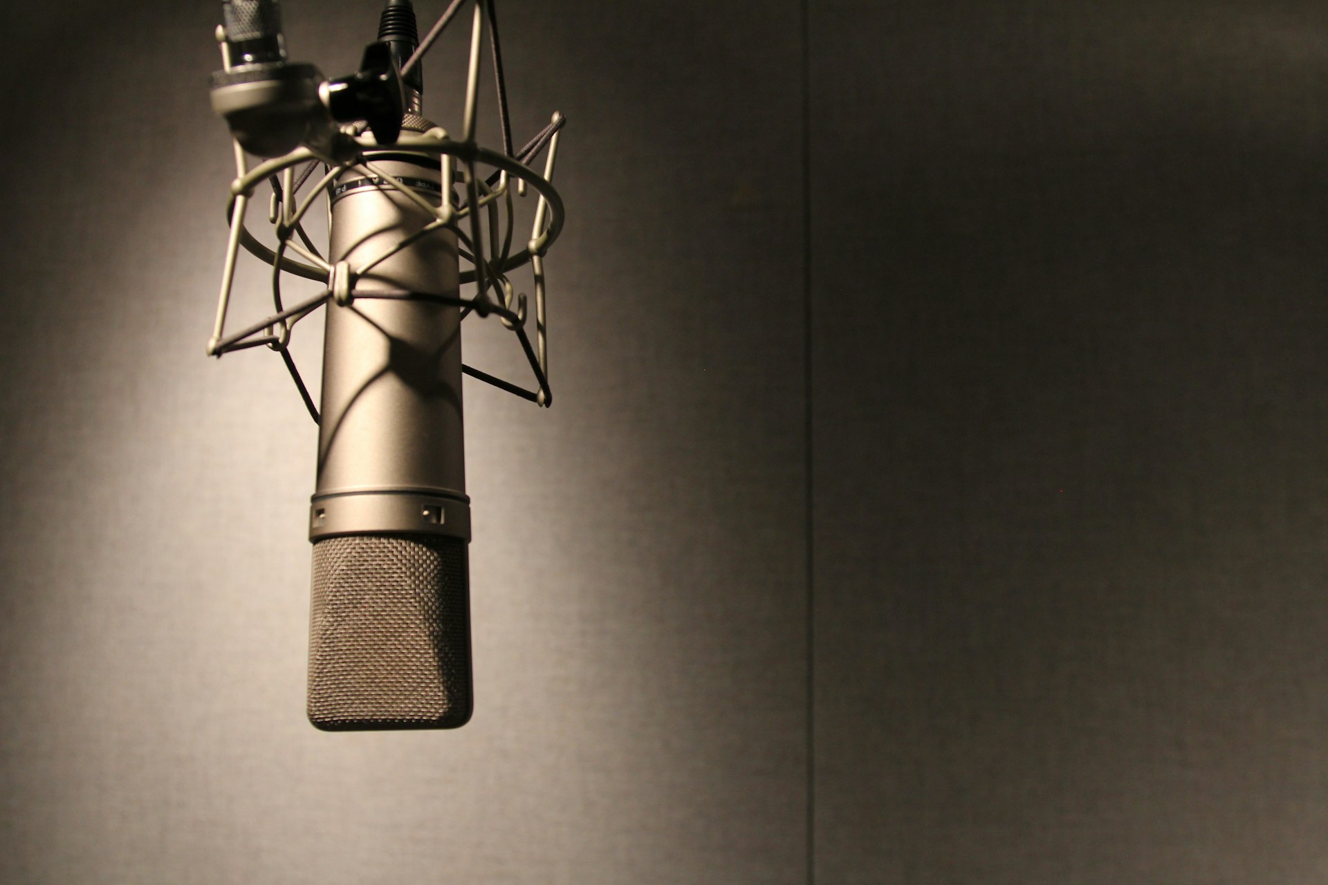Inside the World of Voice Acting: Unveiling the Art, Craft, and Business