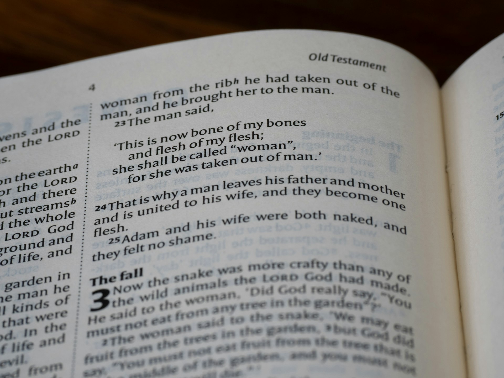 Biblical Perspectives on Disowning and Dealing with Difficult Family Members